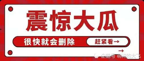娱乐圈八卦文件吃瓜,明星背后的惊人真相，吃瓜群众必看！